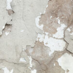 Basement Water Leaks