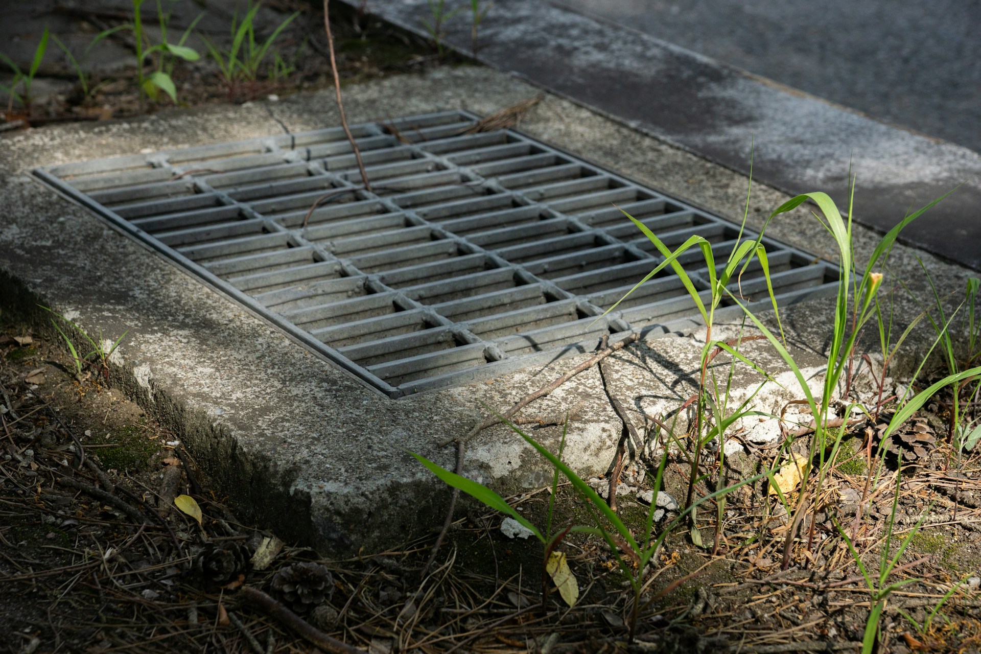 Storm Drain