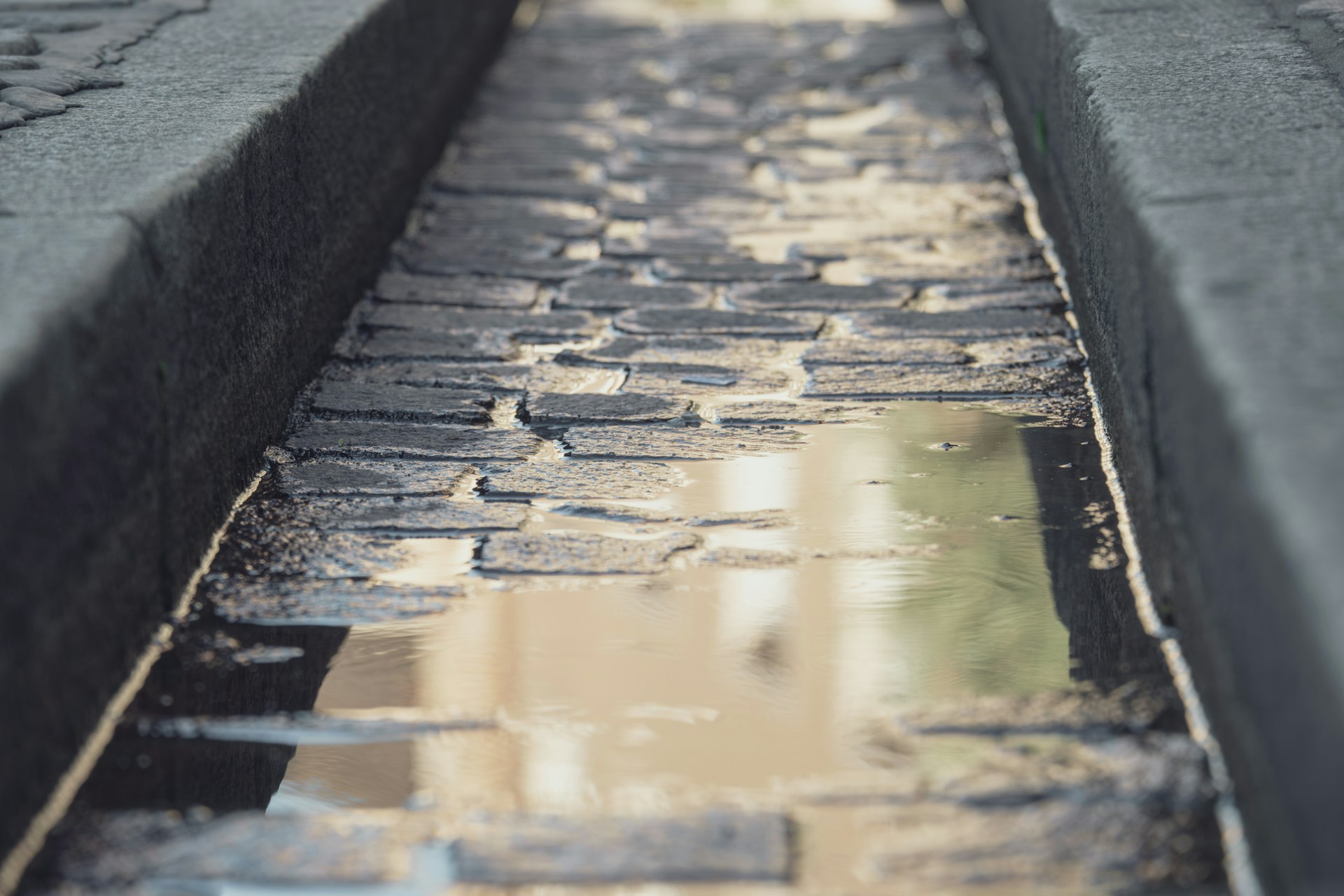 Selecting the Best Storm Drain Contractors in St. Louis