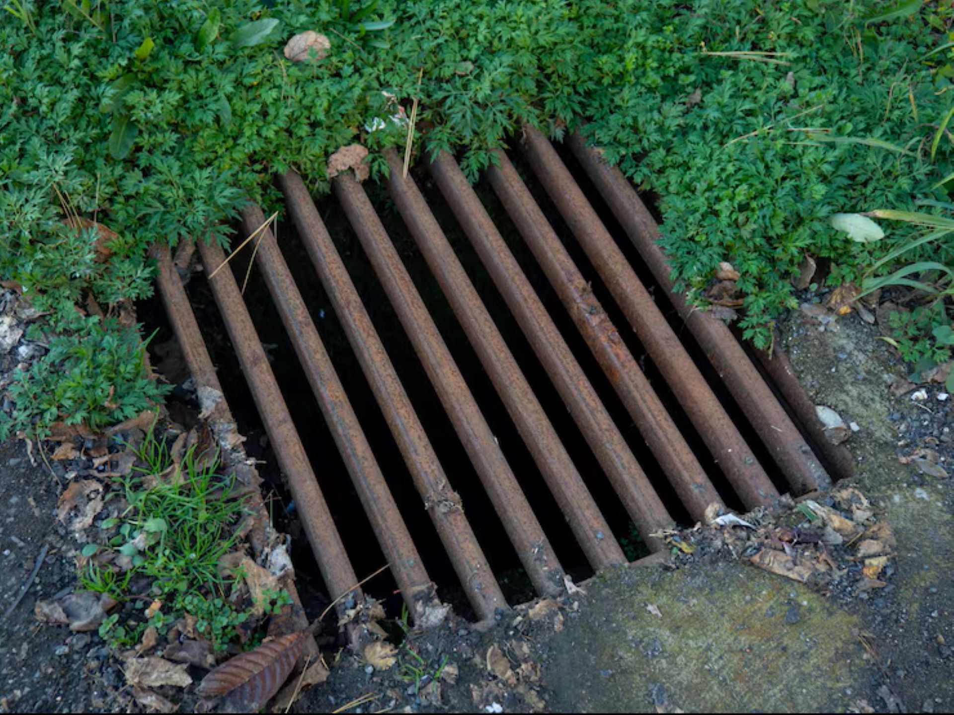Yard Drainage
