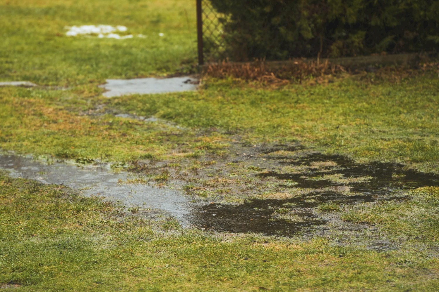 yard flooding