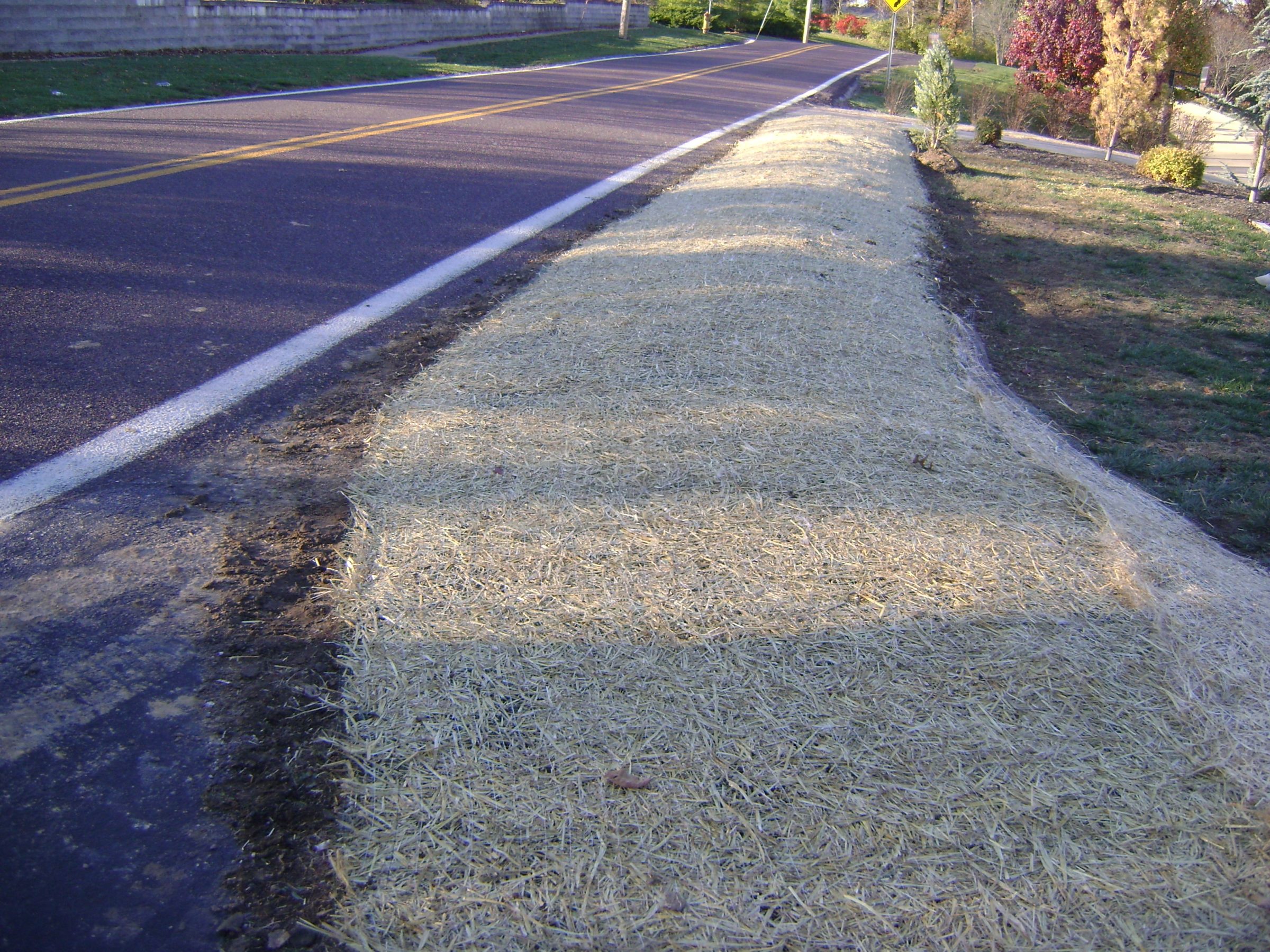 Straw mulch lining roadside embankment