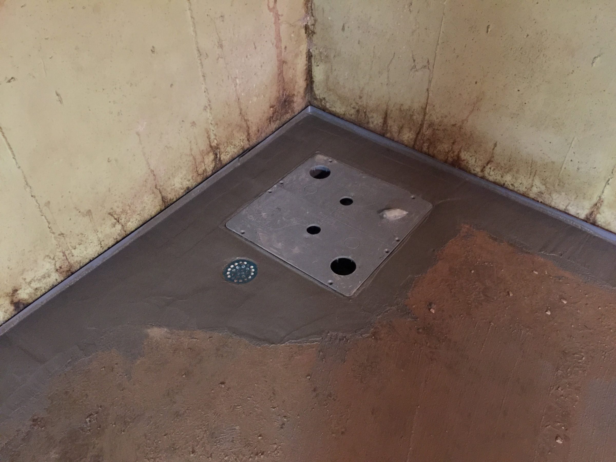 Moldy shower corner with floor drain and metal plate