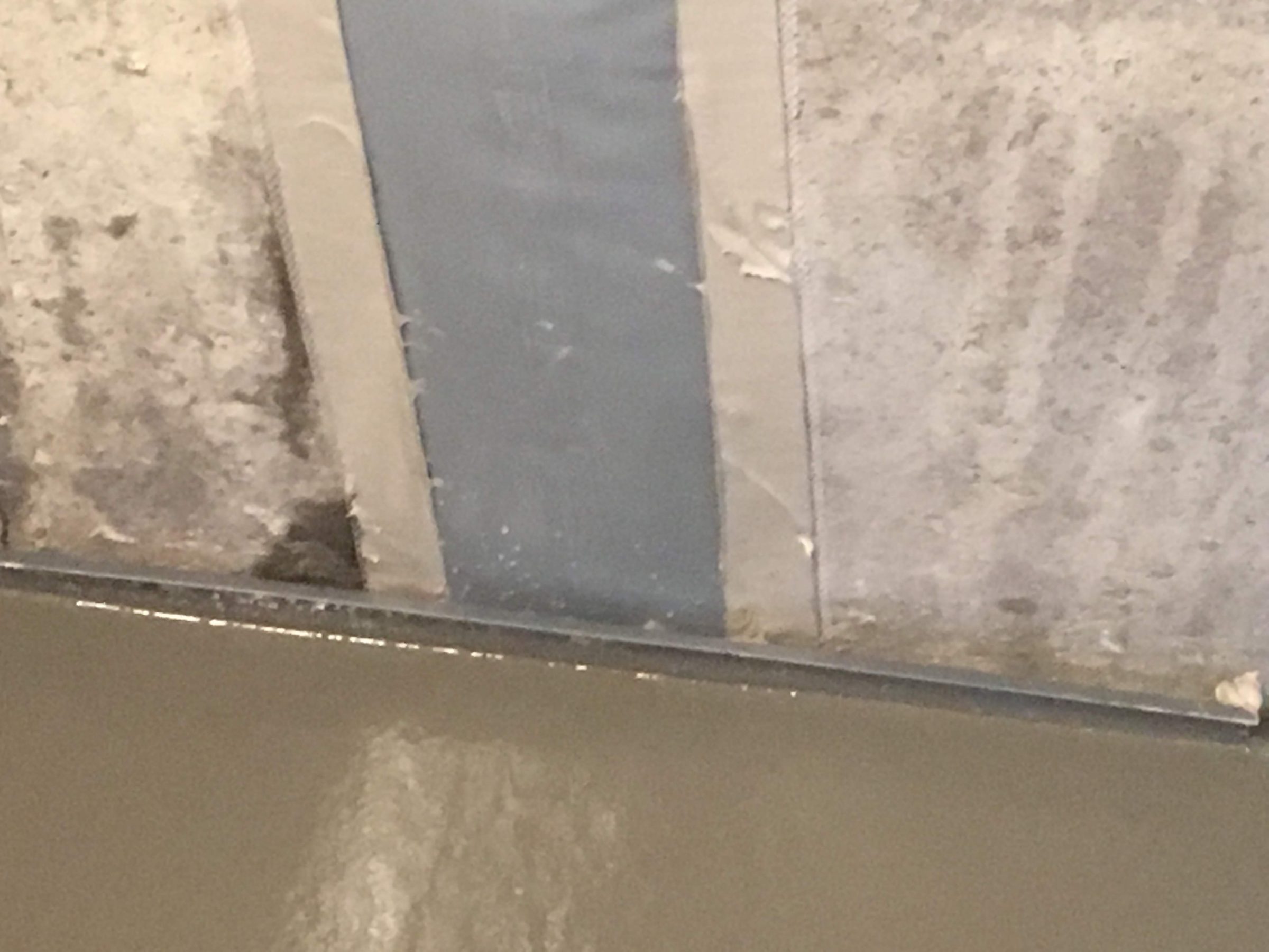 Water-damaged wall with mold and peeling paint