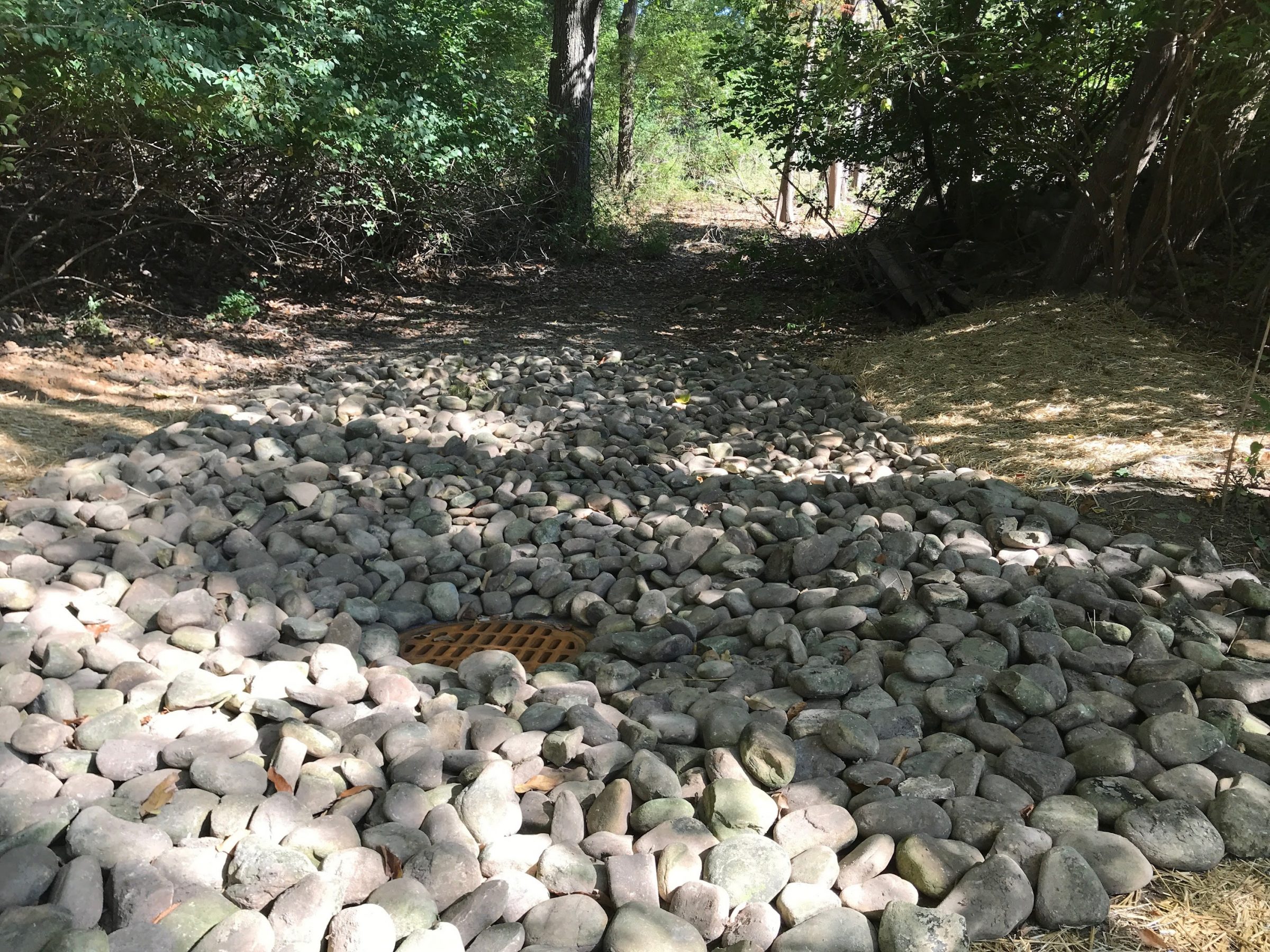 Rocky drainage path in wooded area with grate