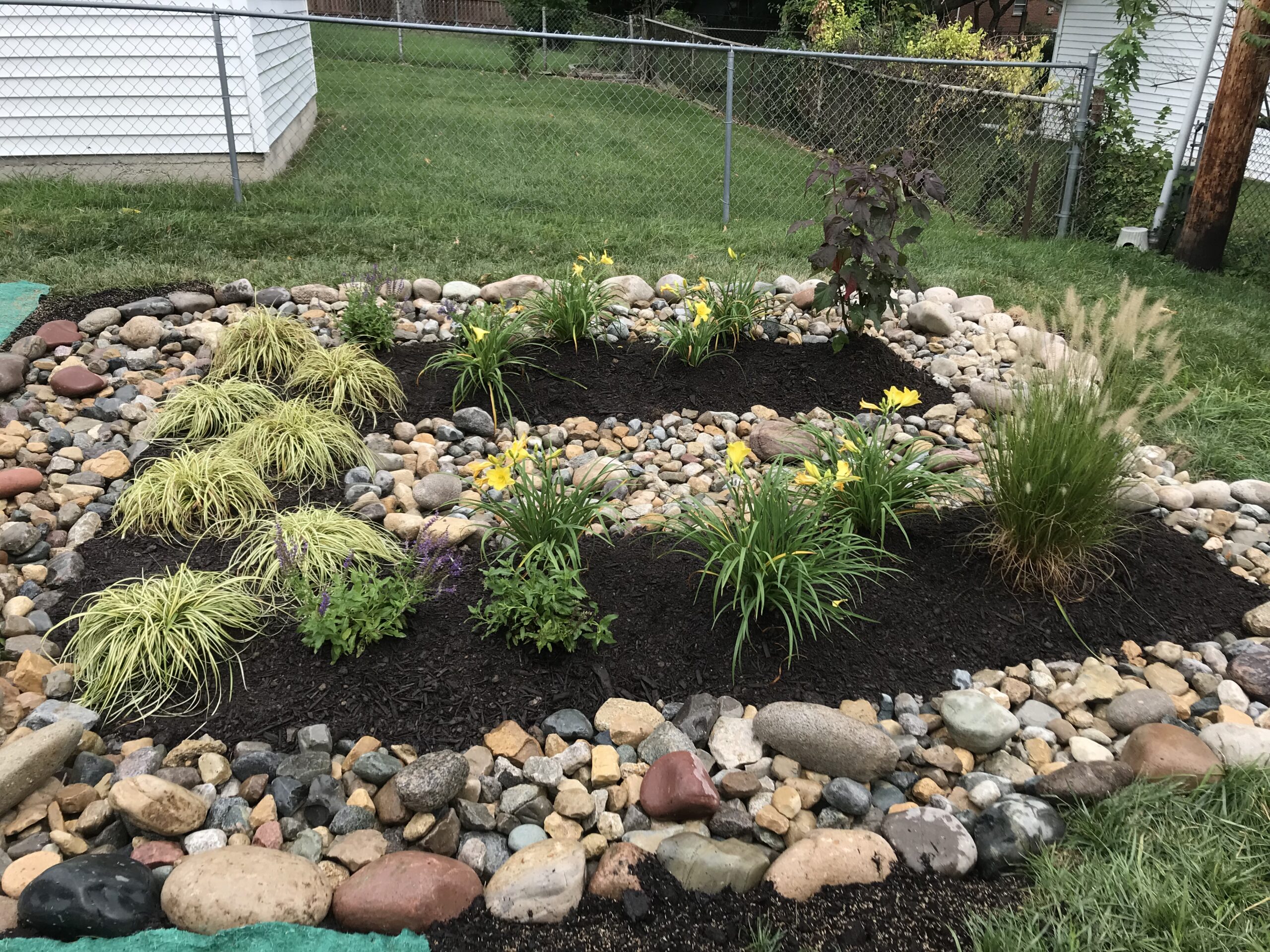 Landscaped backyard garden with rocks and yellow flowers