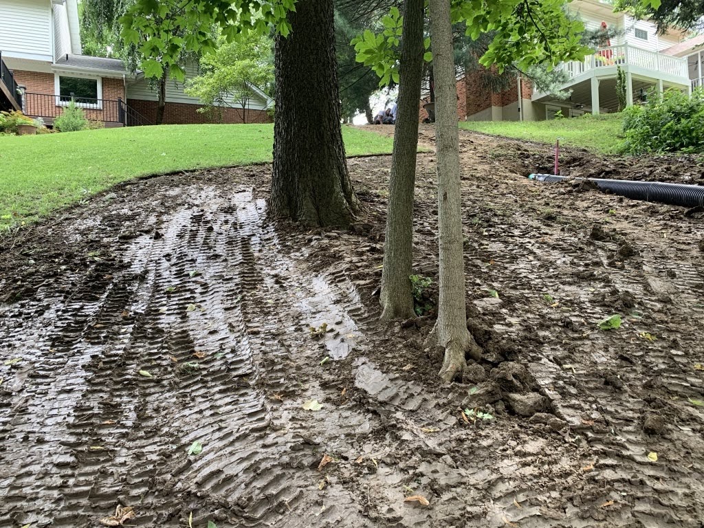 Muddy yard with tire tracks and trees