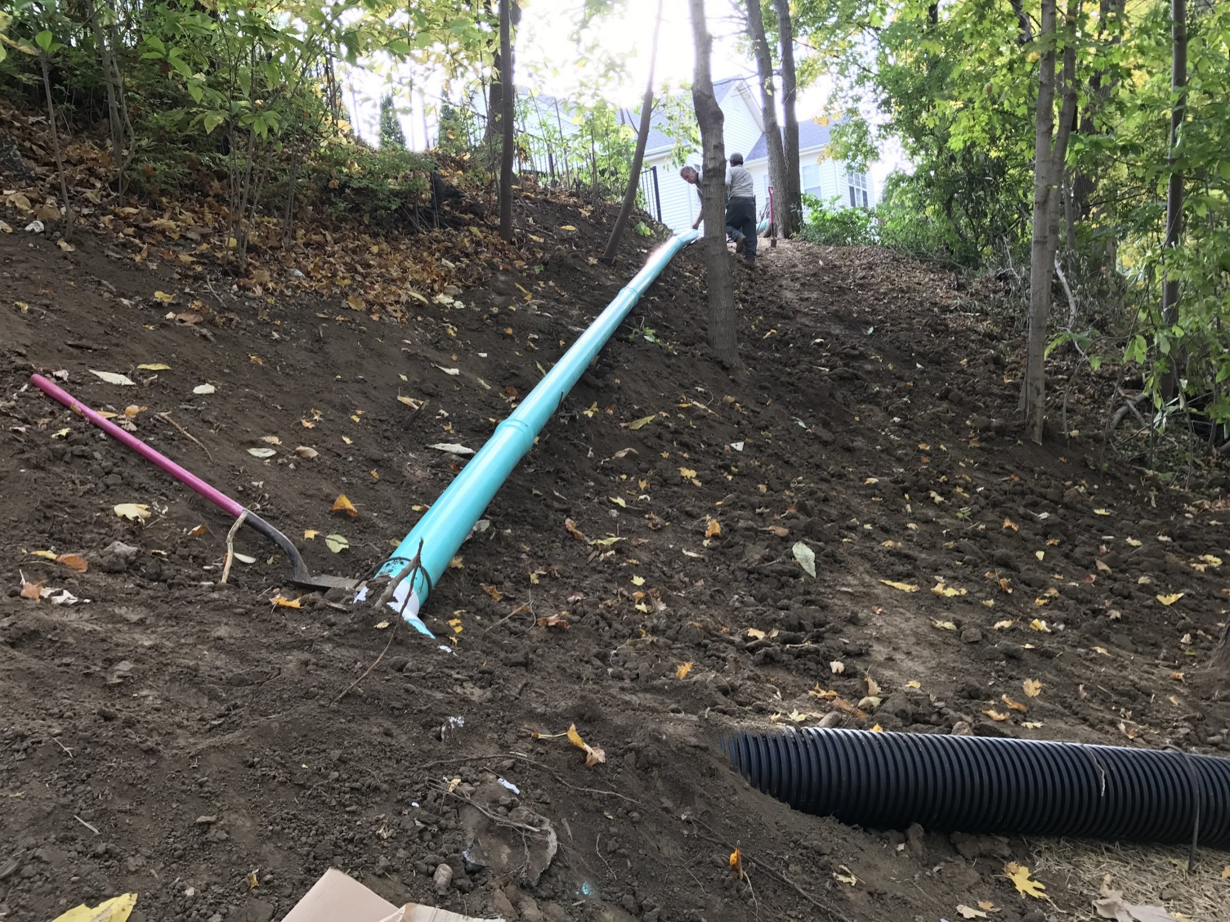 Worker installing drainage pipe on wooded hillside