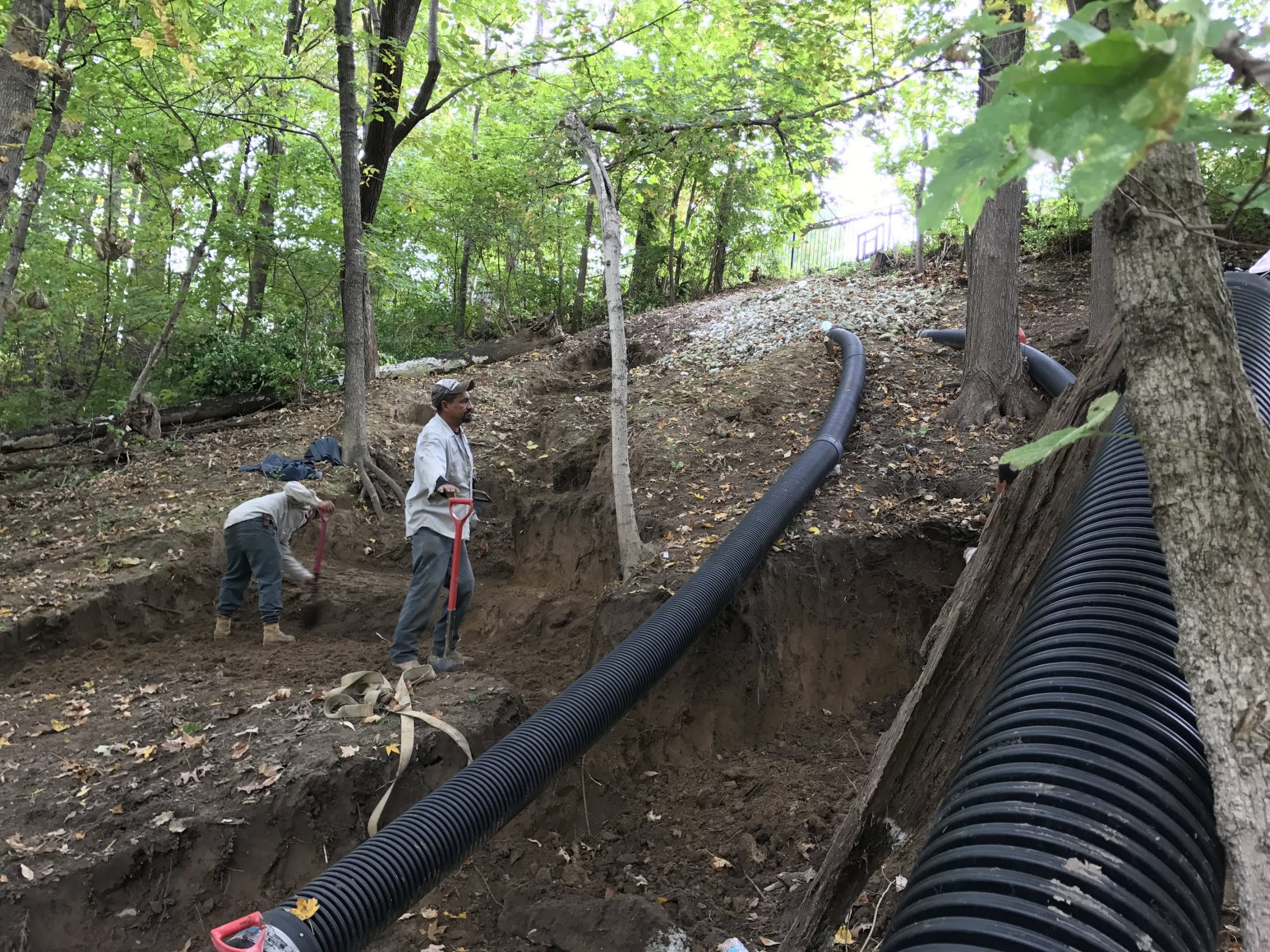 Workers installing large drainage pipe in wooded trench