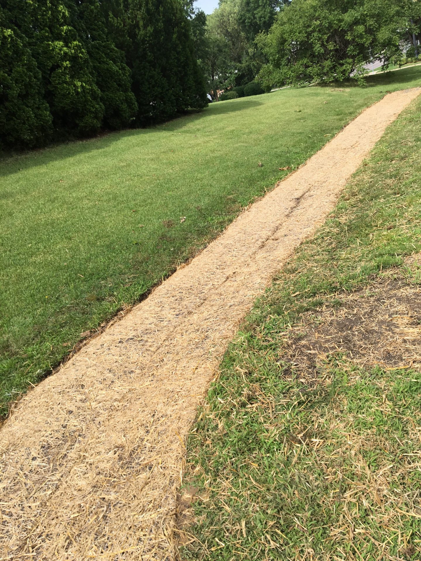 Straw-covered path across green grassy lawn