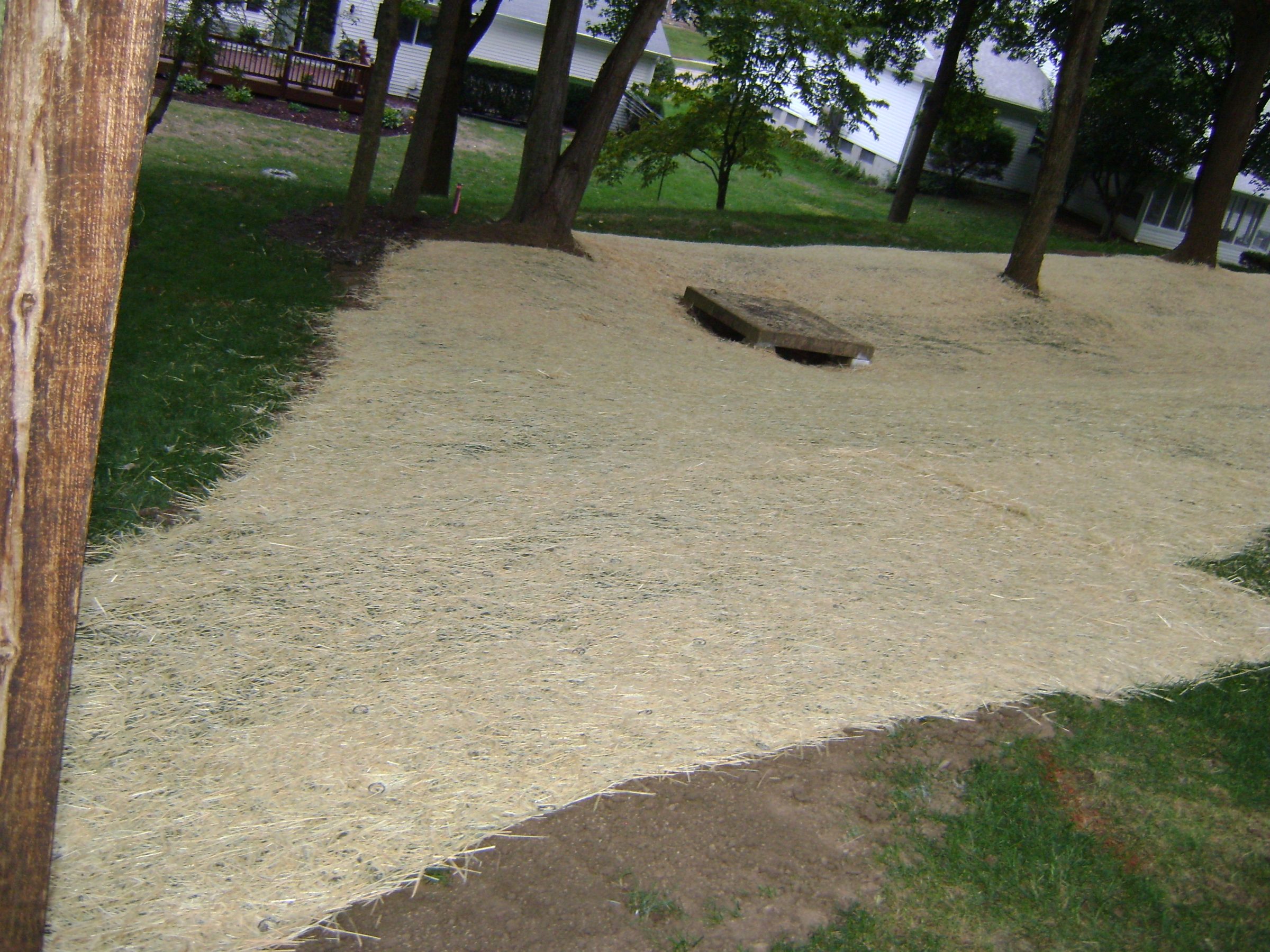 Straw-covered yard with trees and small platform