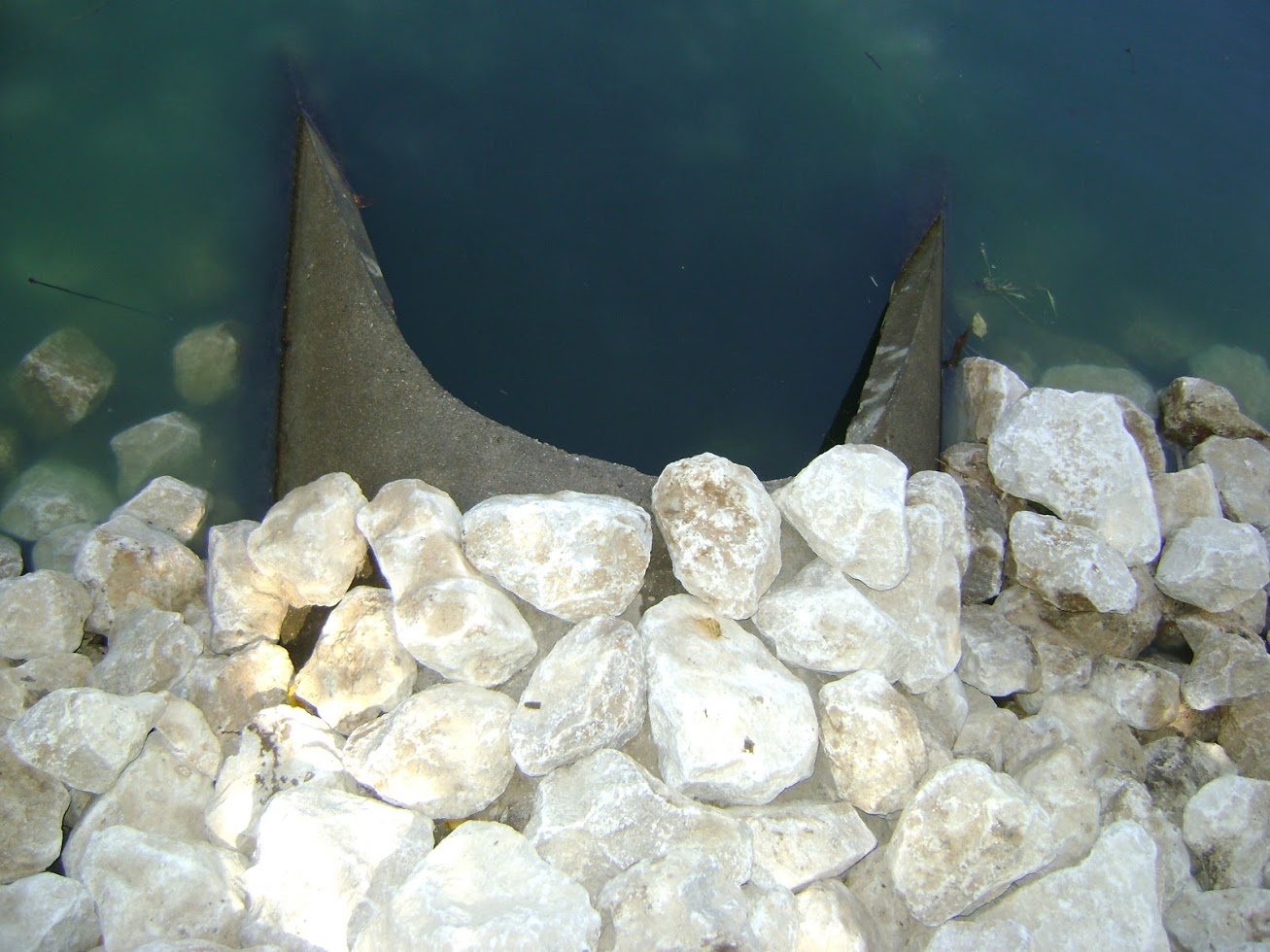 Shark fins visible behind rocks underwater
