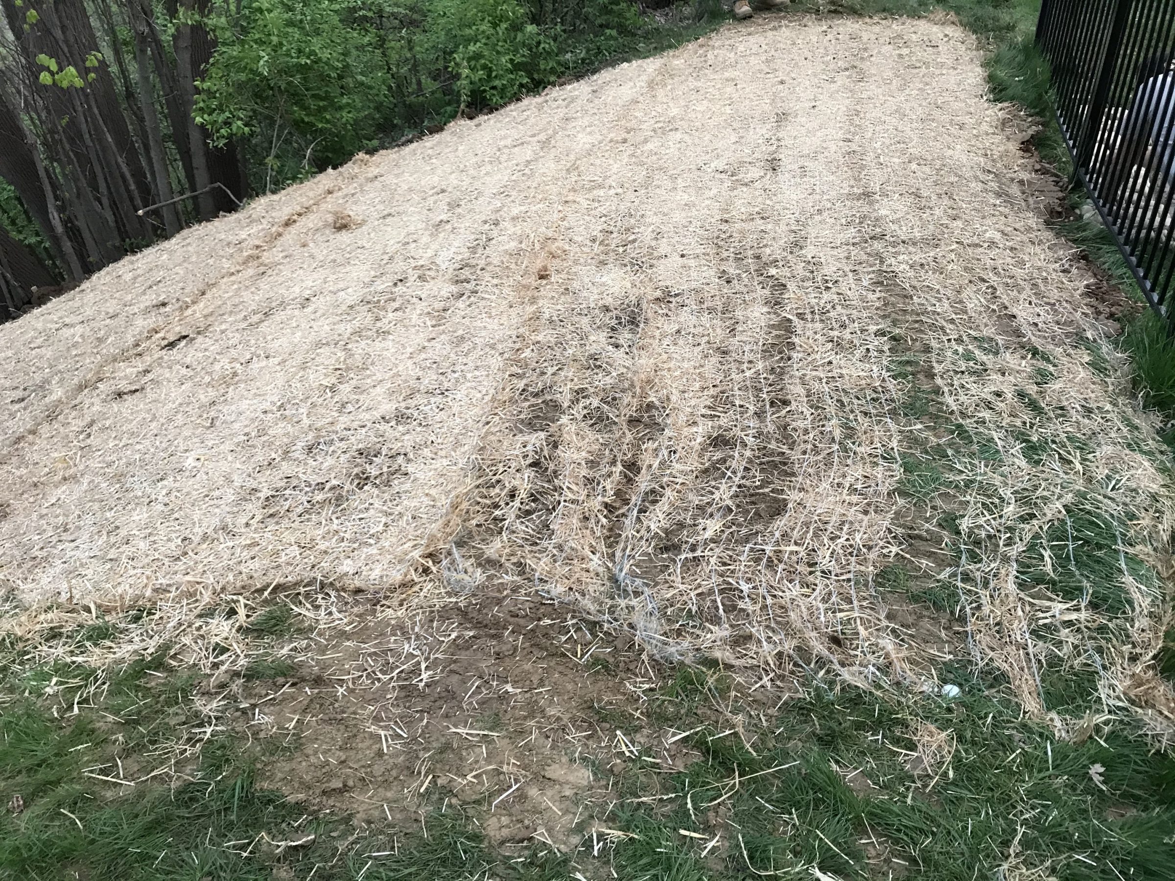 Straw-covered hillside prepared for grass seeding