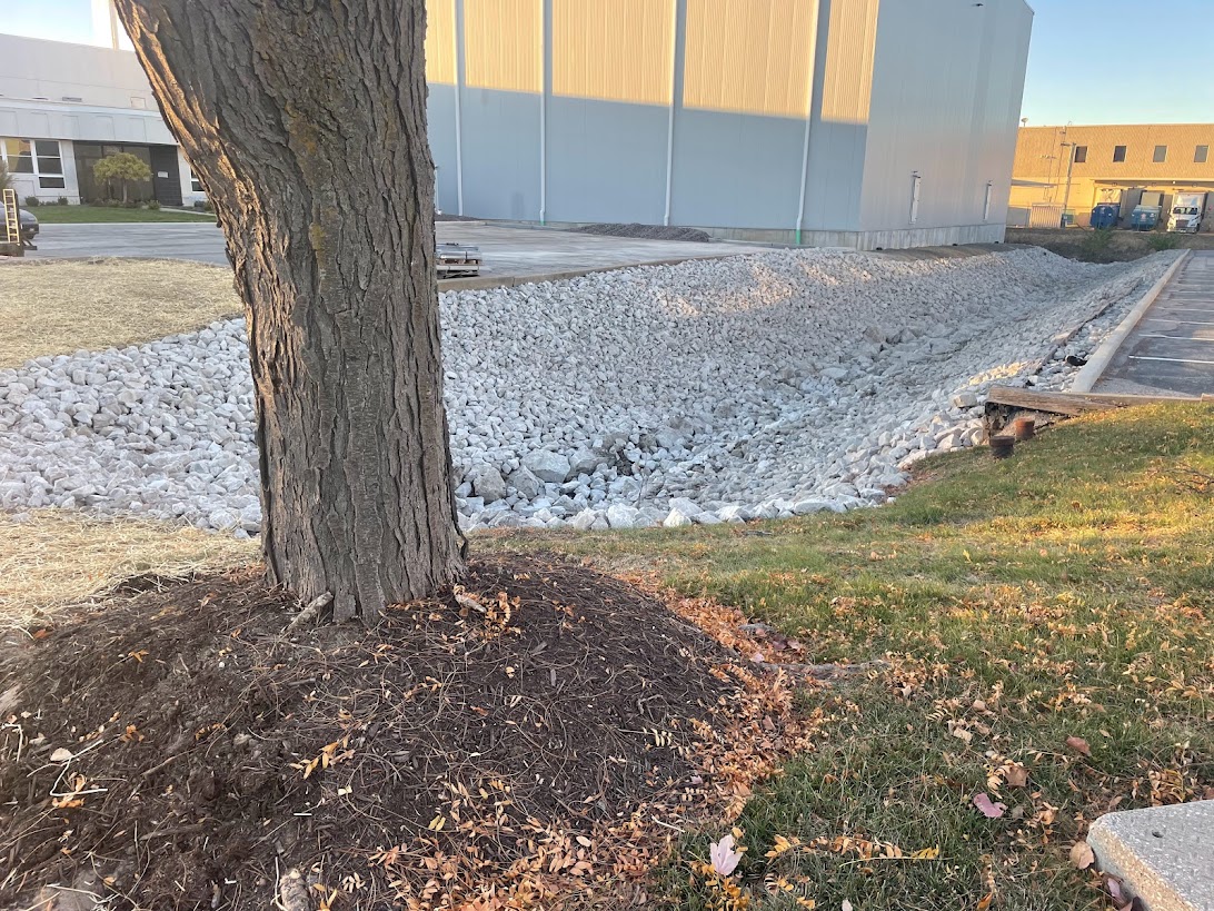 Tree beside rocky drainage ditch near industrial building