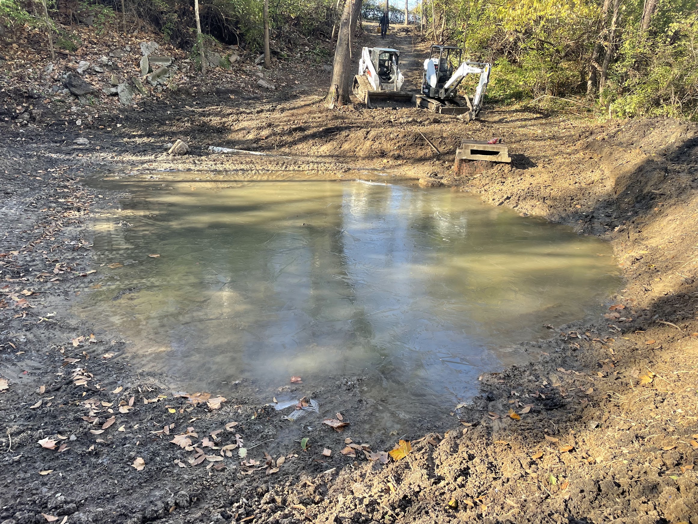 Small pond under construction in wooded area